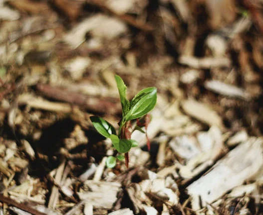 자사주 소각 효과, 유통 물량 감소로 주가 부양에 성공하는 기업들의 비밀 총정리 49