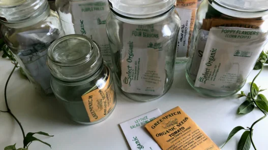 슈퍼 개미, 대량 보유 공시 분석으로 포트폴리오 전략 세우기 3