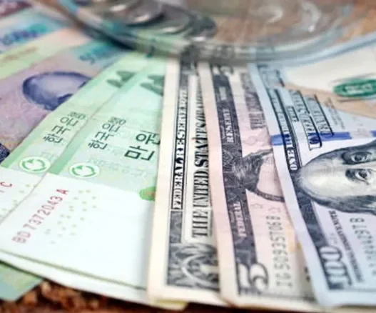 달러 환율 1500원 시대가 현실이 된다면 우리가 반드시 준비해야 할 자산 방어 전략 65