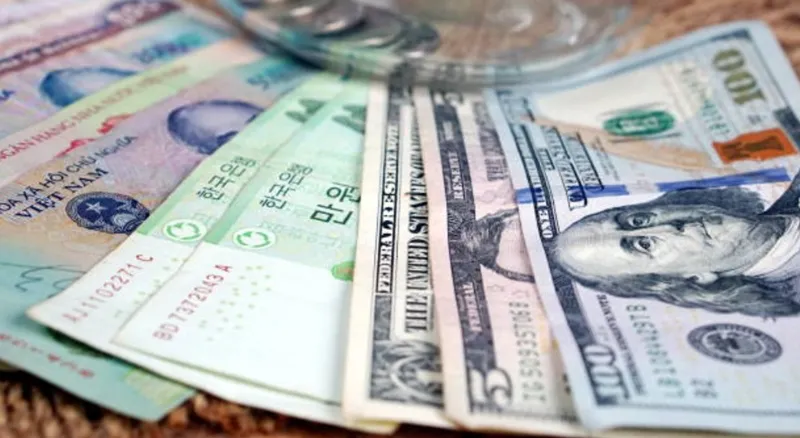 쌓여있는 미국 달러 지폐와 한국 원화 동전들