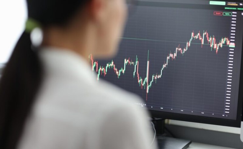 주식 트레이딩 전략을 세우는 투자자의 모습