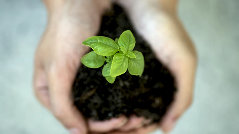 돈 벌면서 지구도 살리는 2026년 친환경 채권 투자 전략 26 지속 가능한 투자를 위한 협력의 손길