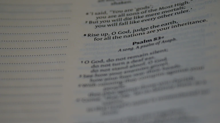 간이 과세자, 부가세 환급 불가 사실과 인테리어 비용 절세를 위한 일반 과세자 전환 가이드 27 세금 계산을 하는 전문가