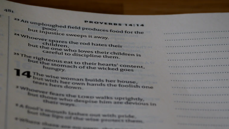 세금 서류들을 정리하는 사람의 손