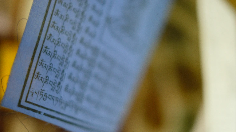 세무 서류와 계산기