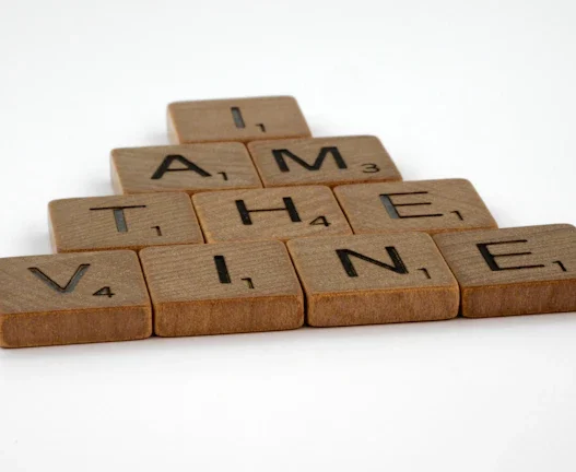 부동산 양도세 절세 전략 초보자도 성공하는 필독 꿀팁 (2026년) 47