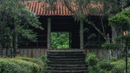 협소 주택 건축 비용 공개, 2026년 10평 자투리 땅에 지은 내 집 마련 꿈 현실로 만들기 3