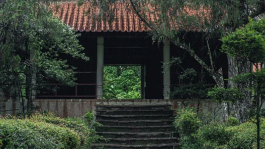 협소 주택 건축 비용 공개, 2026년 10평 자투리 땅에 지은 내 집 마련 꿈 현실로 만들기 17