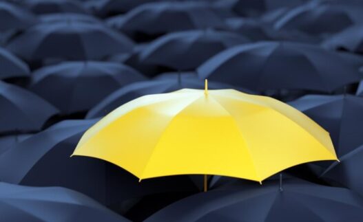 개인사업자 종합소득세 절세 노하우와 2026년 노란우산공제 바뀐 혜택 완벽 정리 3