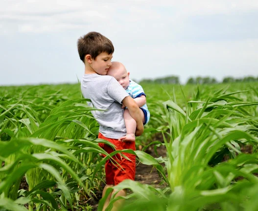 2026년 여유 자금, 달러 RP로 똑똑하게 굴리는 비결 35