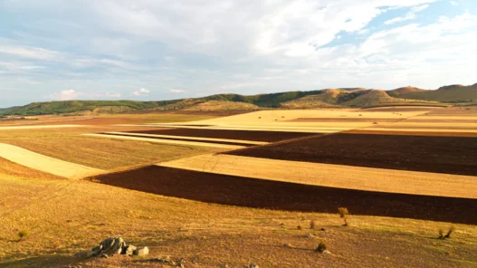주식거래시간 시간 외 거래 급등주 실전 수익 전략 3
