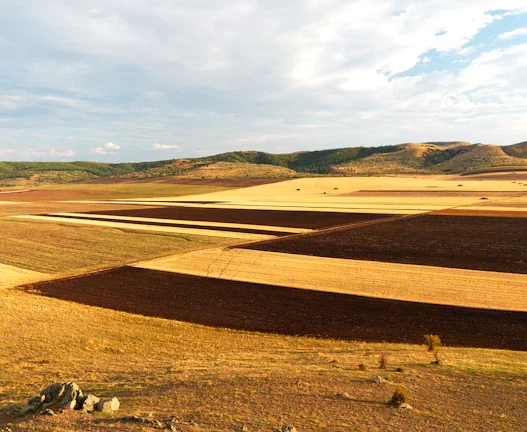 주식거래시간 시간 외 거래 급등주 실전 수익 전략 37