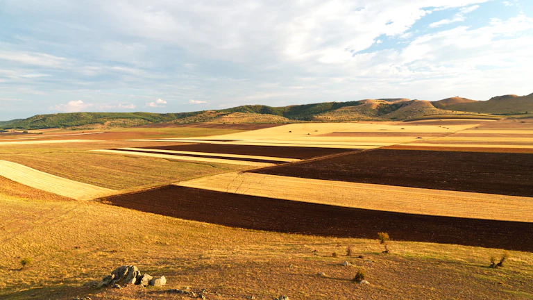시간 외 주식 거래 차트 분석