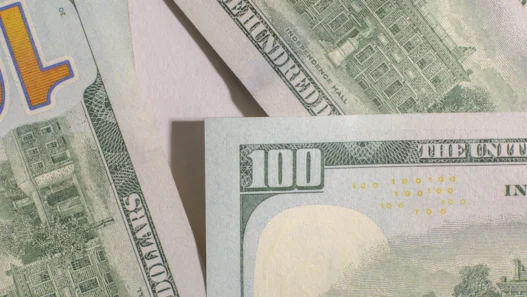 월 100만원 받는 미국 ETF 배당 재투자 전략 (2026) 29