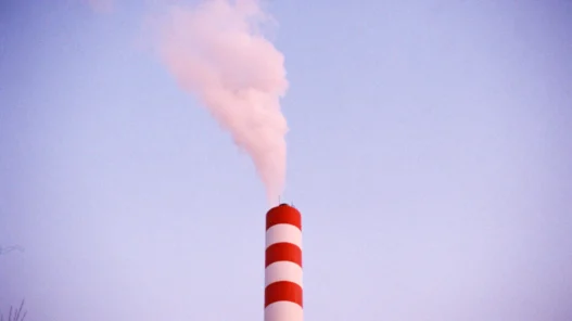 탄소배출권 수익 극대화하는 실전 투자법 3