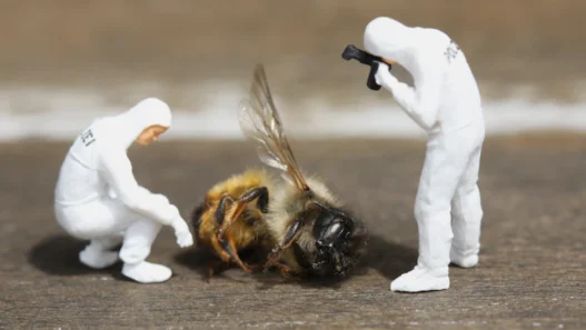 2026년, 금리 인하 시점 예측 실패가 당신의 자산을 앗아가는 치명적 실수. 17