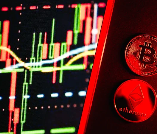 시바이누코인 투자, 내 위험 선호도 자가 평가 35