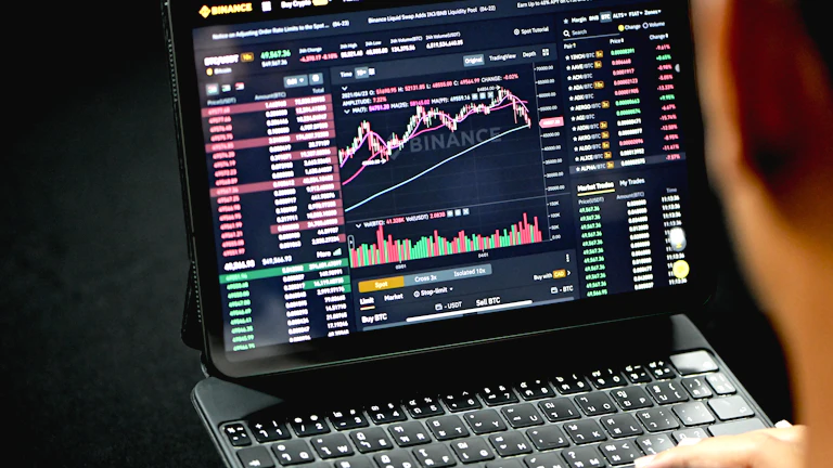 DAO 세금, 개인 투자자 위험 감수 수준 점검 26 디지털 자산 투자 위험 요소 차트