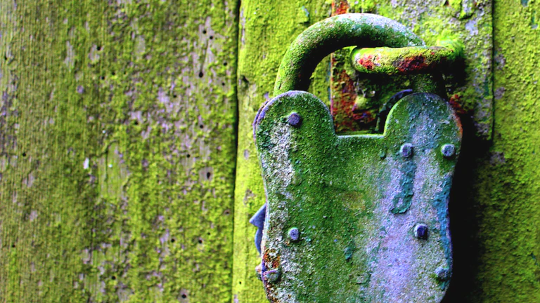 디지털 보안 잠금장치