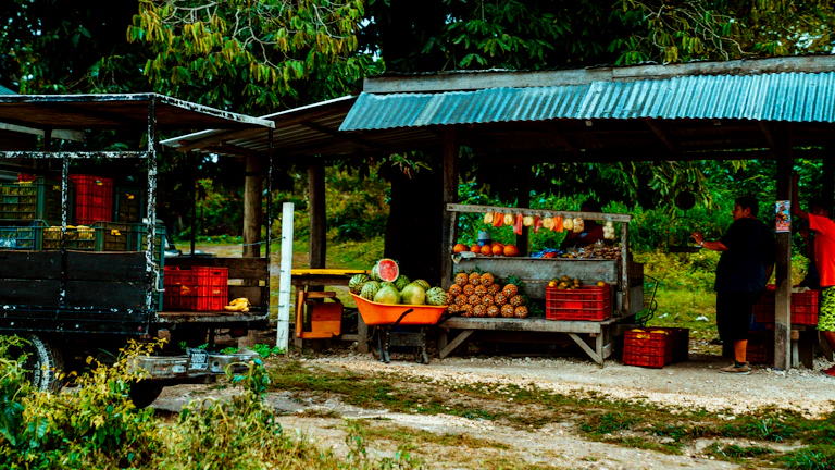 다양한 종류의 농산물