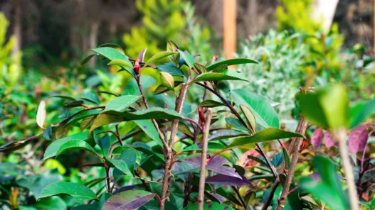 ESG 채권 투자, 금리 변동 속 숨은 이득 찾는 법 7