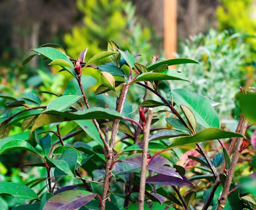 ESG 채권 투자, 금리 변동 속 숨은 이득 찾는 법 39