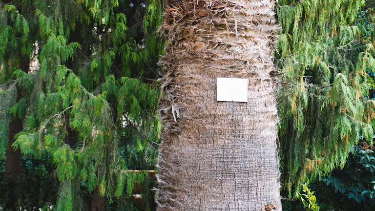 ESG 채용 면접에서 지원자의 답변을 경청하는 면접관