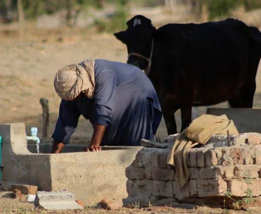 2026년 식량 위기 인플레 대비 수익 전략 51