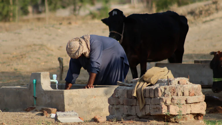 농부가 작물을 살피는 모습