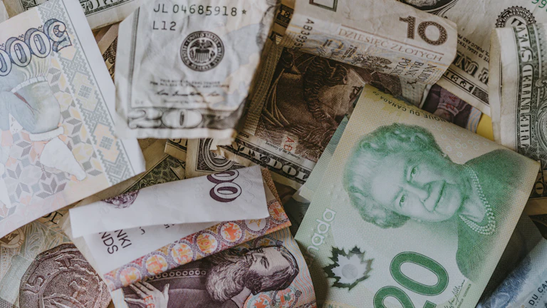 네이처셀주가 변동성 대응을 위한 실전 투자 행동 순서 5단계 28 금융 분석가의 주식 시장 분석 업무 이미지