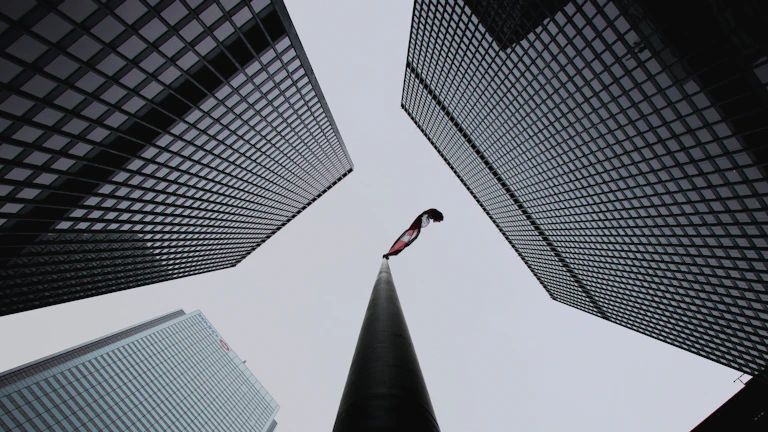 금융 위험 관리를 위한 전략