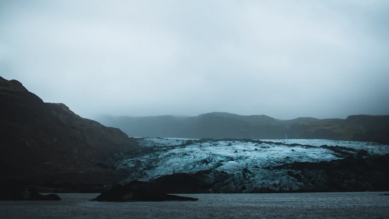 글로벌 자본 유출 추이 차트