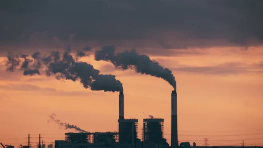 탄소배출권 투자로 2026년 친환경 수익 내는 법 17