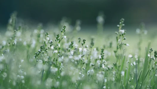 친환경 투자로 2026년 이자 수익 늘리는 법 17