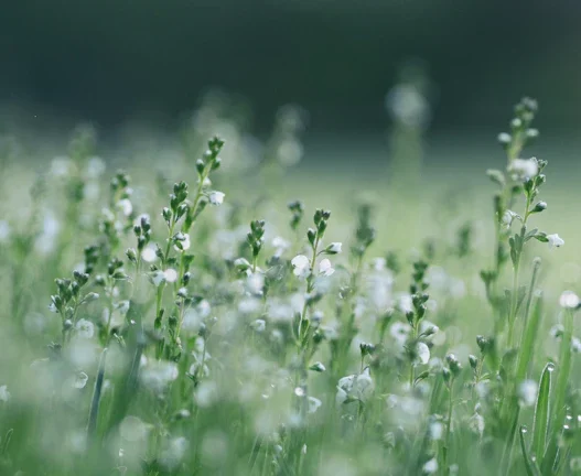 친환경 투자로 2026년 이자 수익 늘리는 법 37