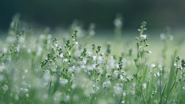 친환경 투자로 2026년 이자 수익 늘리는 법 27