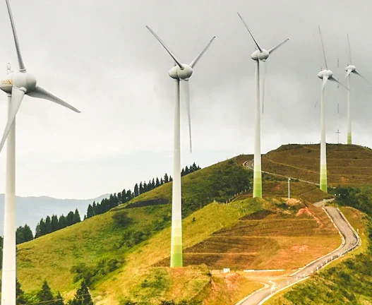 탄소세 수익 내는 2026년 투자 비결 49