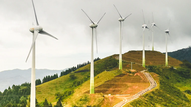 2026년 탄소 중립 경제와 지속 가능한 투자 전략