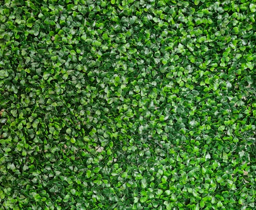 그린 수소 투자 계좌 개설부터 매수 절차 가이드 37