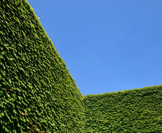 인플레이션 헤지 내 자산 지키는 법 35