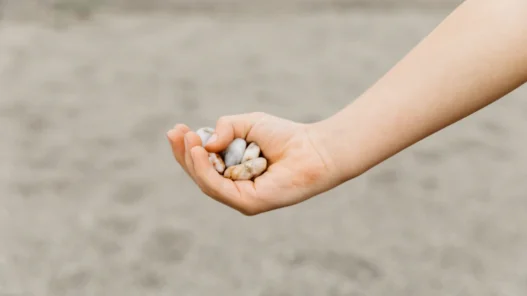 즉시연금 비과세로 상속세 0원 노하우 (2026) 43