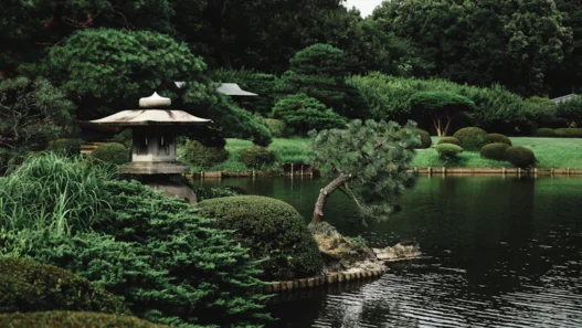 엔저 끝? 환차익 2배 높이는 안전한 달러 투자법 17