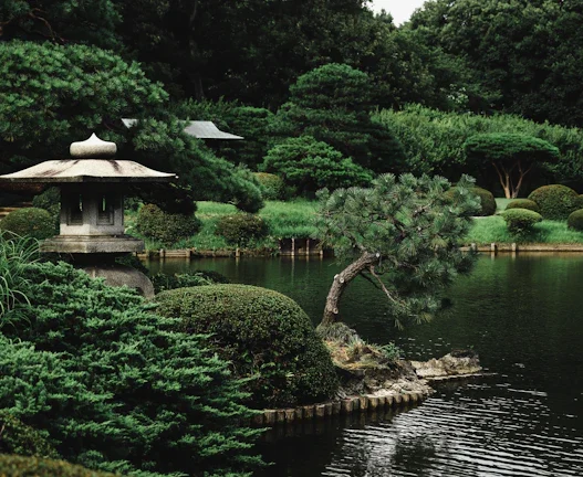 엔저 끝? 환차익 2배 높이는 안전한 달러 투자법 40