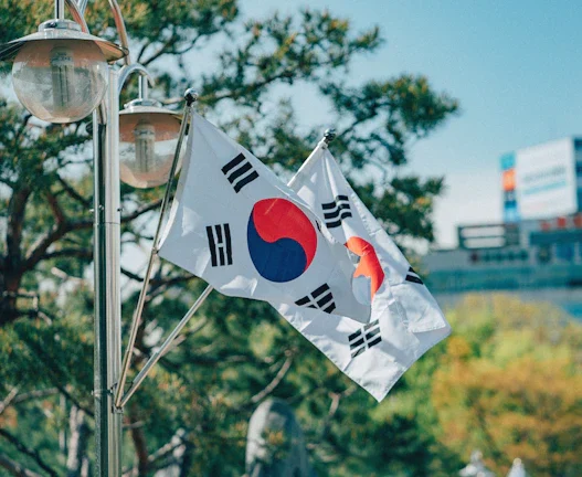 브라운물티슈, 2026년 환율 변동 속 숨겨진 환차익 노리기 45