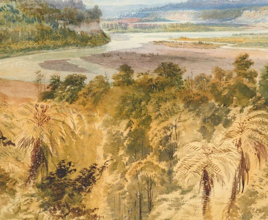 토지 경매 수익으로 1억 버는 비결 45