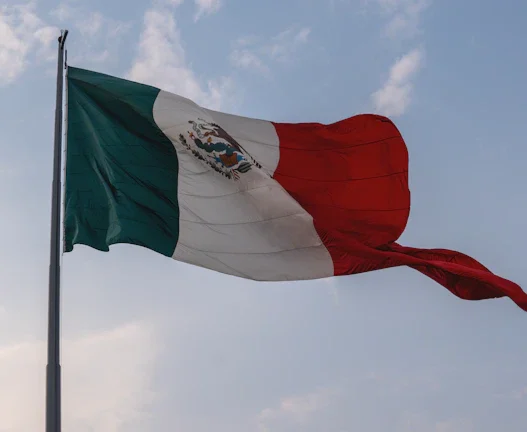 멕시코 페소 고금리 환차익 투자법 (2026년) 35