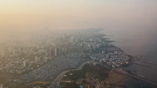 인도 주식 수익 내는 대장주 투자법 15