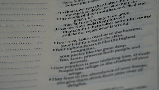 치아보험 환급 활용해 임플란트 비용 해결법 17