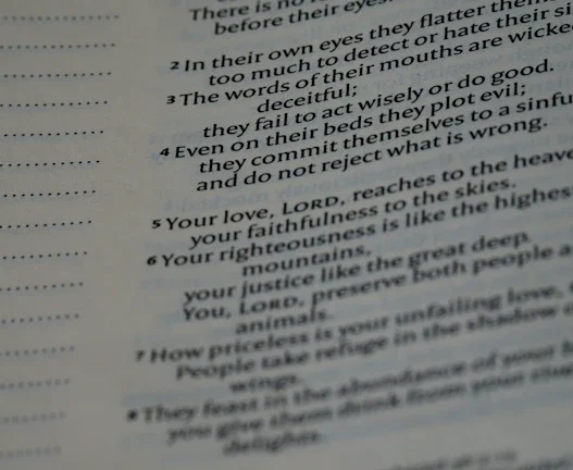 치아보험 환급 활용해 임플란트 비용 해결법 39