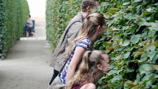 로보 어드바이저 퇴직 연금 수익률 2배 높이는 비법 3